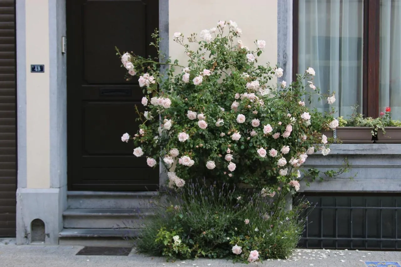 B&B Les Iris Brussels 0*,